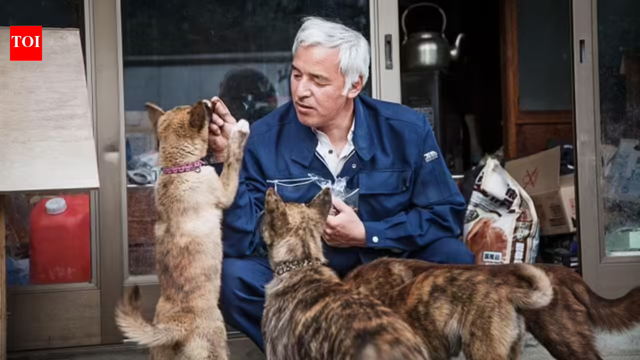Fukushima nuclear disaster forced more than 150,000 people to flee and turned towns into ghost towns, but one man went back to save the animals: Meet Naoto Matsumura | Fukushima nuclear disaster forced more than 150,000 people to flee and turned towns into ghost towns, but one man went back to save the animals: Meet Naoto Matsumura |