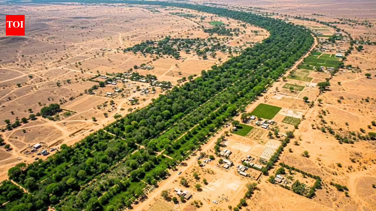 After the Great Wall of China, Africa is building an 8,000-km ‘Wall of Trees’ to fight climate change, restore land and feed millions | After the Great Wall of China, Africa is building an 8,000-km ‘Wall of Trees’ to fight climate change, restore land and feed millions |