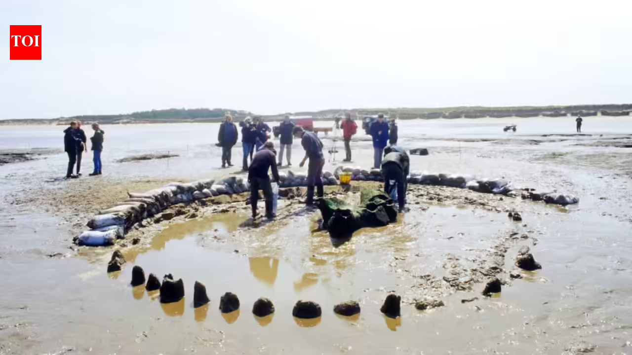This 4,000-year-old wooden monument in England may have been built to ‘extend summer’, archaeologists say This 4,000-year-old wooden monument in England may have been built to ‘extend summer’, archaeologists say