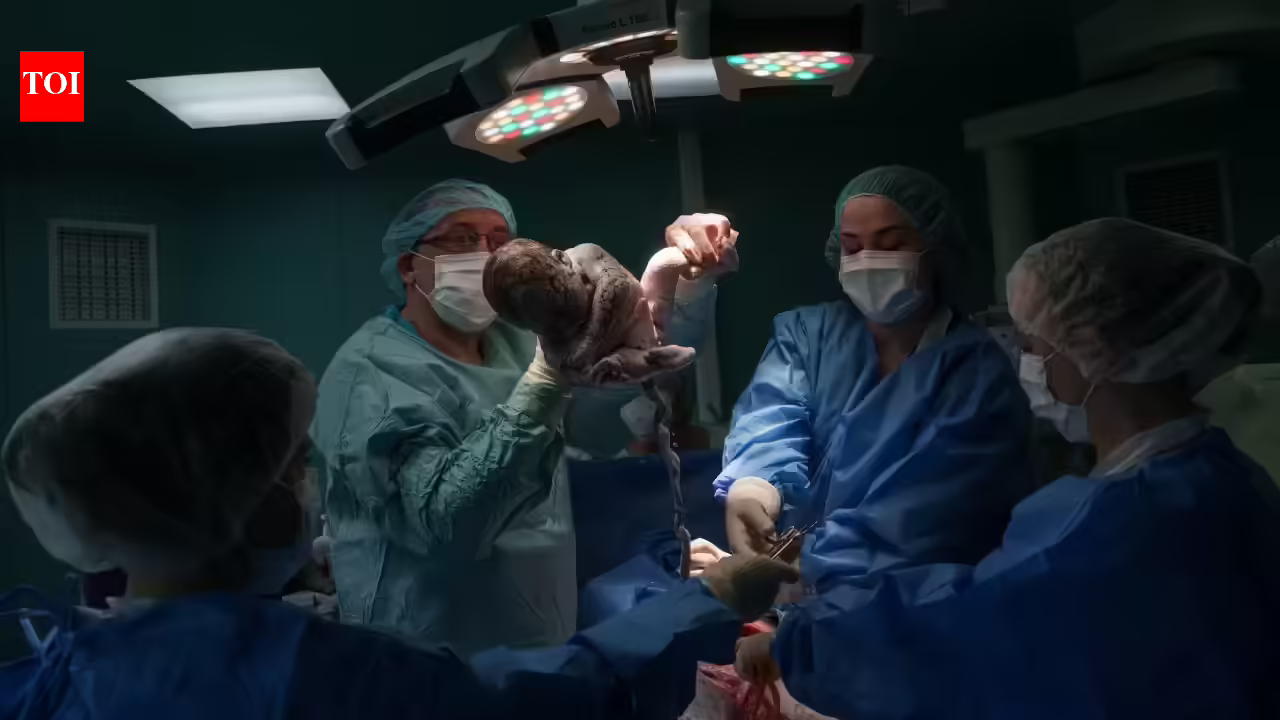 Indian scientists recreate key functions of human Placenta on chip Indian scientists recreate key functions of human Placenta on chip
