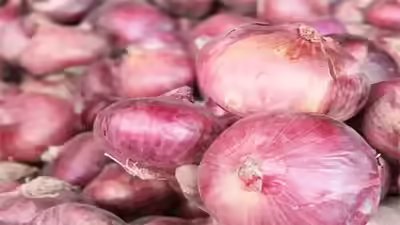 Centre raises onion procurement price by 13% — here’s why Centre raises onion procurement price by 13% — here’s why