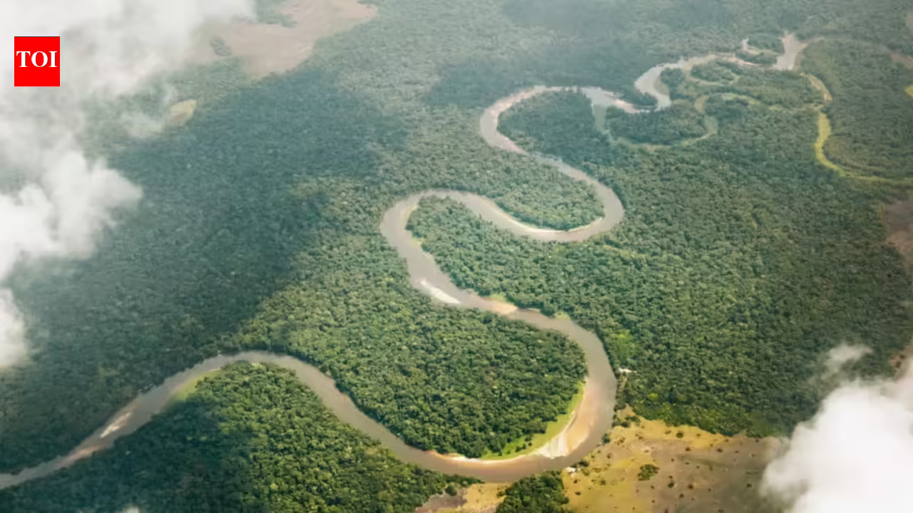 Congo River: Congo River releases 40,000 cubic metres of freshwater into the Atlantic every second. Scientists trace where it goes Congo River: Congo River releases 40,000 cubic metres of freshwater into the Atlantic every second. Scientists trace where it goes