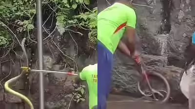 Courtallam Falls Snake Incident: Snake scare at Courtallam falls leaves tourists stunned, visitors seen running around pushing each other as snake slithers nearby; rescue video goes viral Courtallam Falls Snake Incident: Snake scare at Courtallam falls leaves tourists stunned, visitors seen running around pushing each other as snake slithers nearby; rescue video goes viral