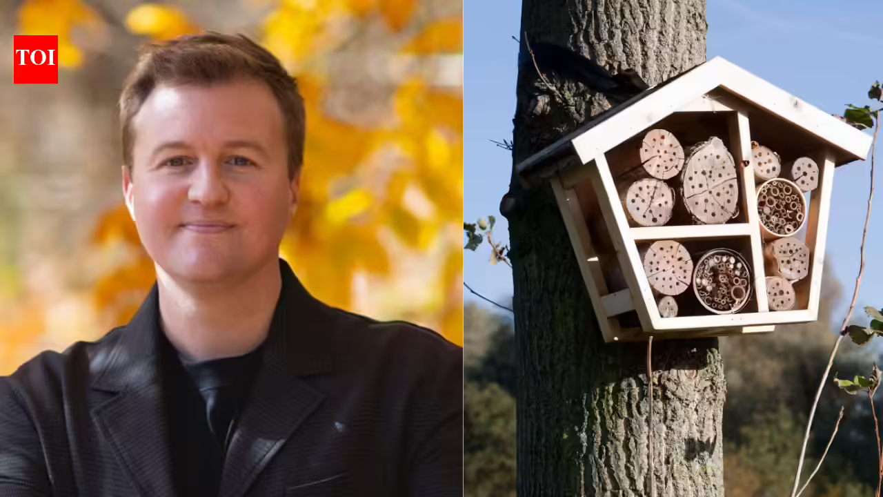 A scientist built 200 hotels for bees. Three years later, the guests he found changed what we know about pollinators and biodiversity | A scientist built 200 hotels for bees. Three years later, the guests he found changed what we know about pollinators and biodiversity |