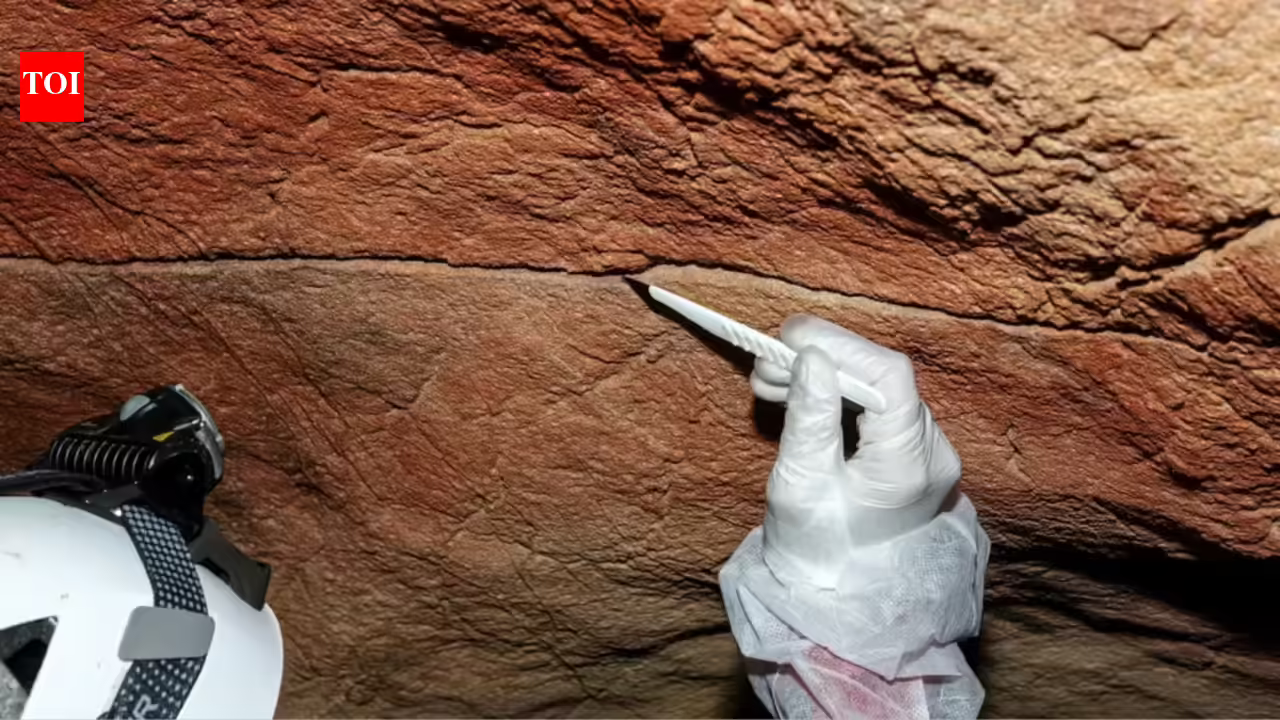 For the first time, scientists have recovered ancient DNA left behind on cave walls and rock art, opening a new way to study the people who made prehistoric art thousands of years ago For the first time, scientists have recovered ancient DNA left behind on cave walls and rock art, opening a new way to study the people who made prehistoric art thousands of years ago