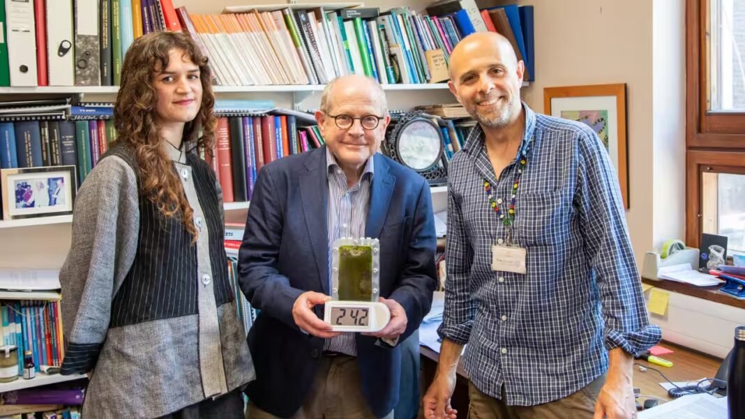 Cambridge scientists create a living bio-battery that generates electricity around the clock using algae and could replace millions of disposable batteries | Cambridge scientists create a living bio-battery that generates electricity around the clock using algae and could replace millions of disposable batteries |
