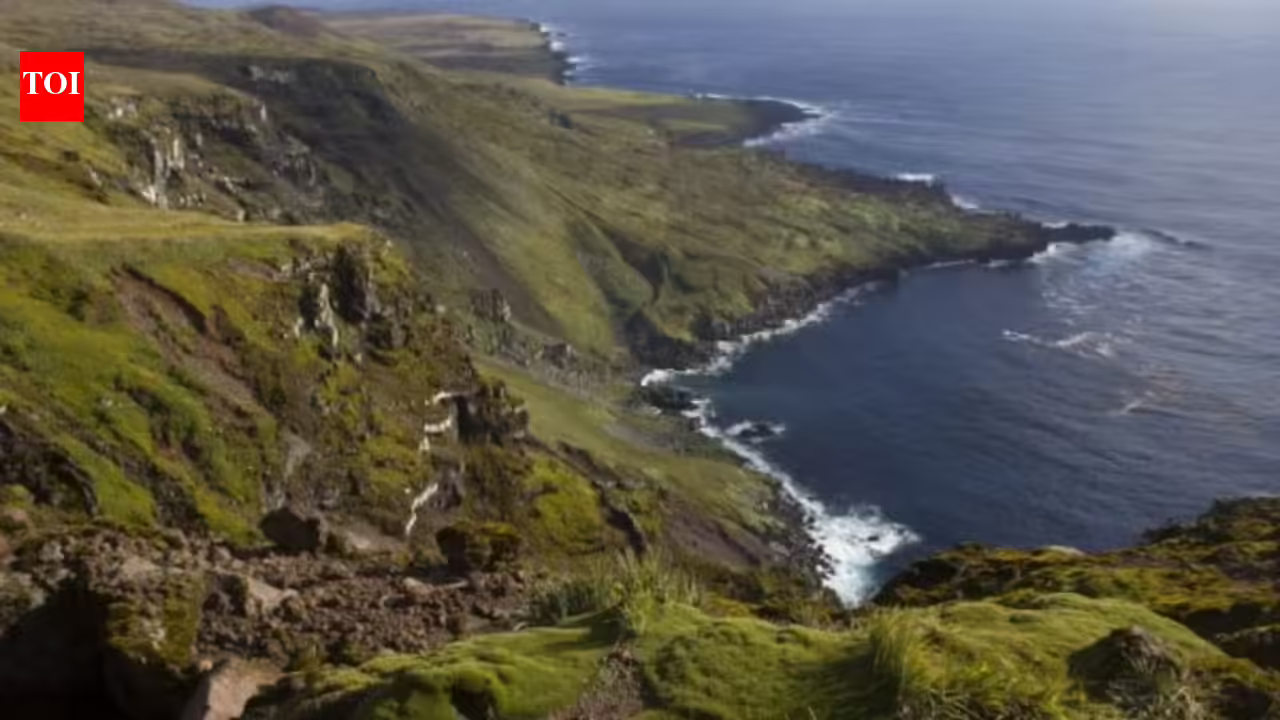 Six helicopters will drop 550 tons of poison on this island: Why a project is spending $10 million on this exercise | Six helicopters will drop 550 tons of poison on this island: Why a project is spending $10 million on this exercise |
