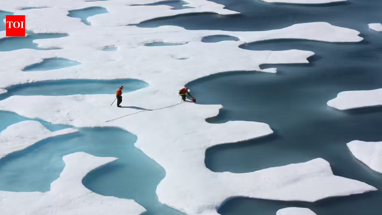 Why climate forcing is not equal everywhere: New model tests show polar changes can be more than three times as powerful as global ones Why climate forcing is not equal everywhere: New model tests show polar changes can be more than three times as powerful as global ones