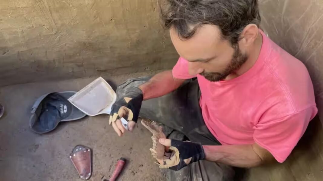 Alaska: Scientists find that humans and dogs have such a friendly relationship because early ancestors fed salmon to canines 12,000 years ago Alaska: Scientists find that humans and dogs have such a friendly relationship because early ancestors fed salmon to canines 12,000 years ago