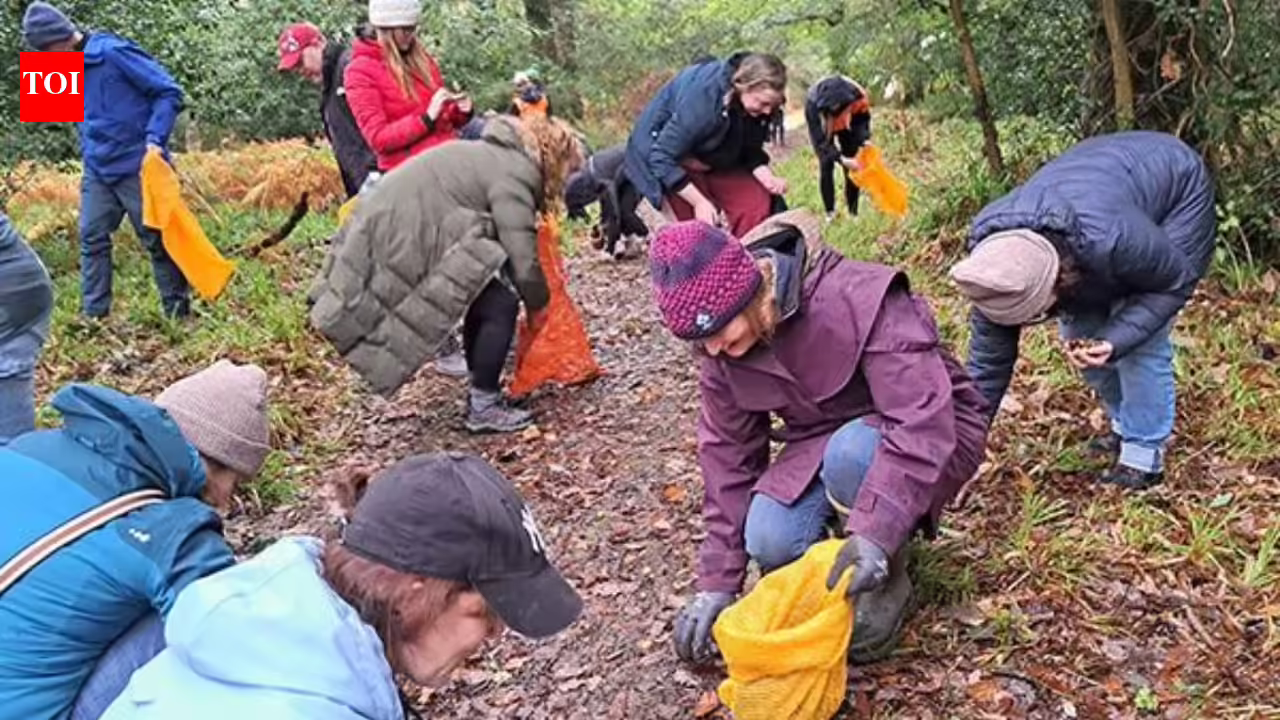 Around 100 volunteers collected 11 million seeds by hand across Scotland; nearly 8 million native trees are now being grown to rebuild its disappearing Atlantic rainforest | Around 100 volunteers collected 11 million seeds by hand across Scotland; nearly 8 million native trees are now being grown to rebuild its disappearing Atlantic rainforest |