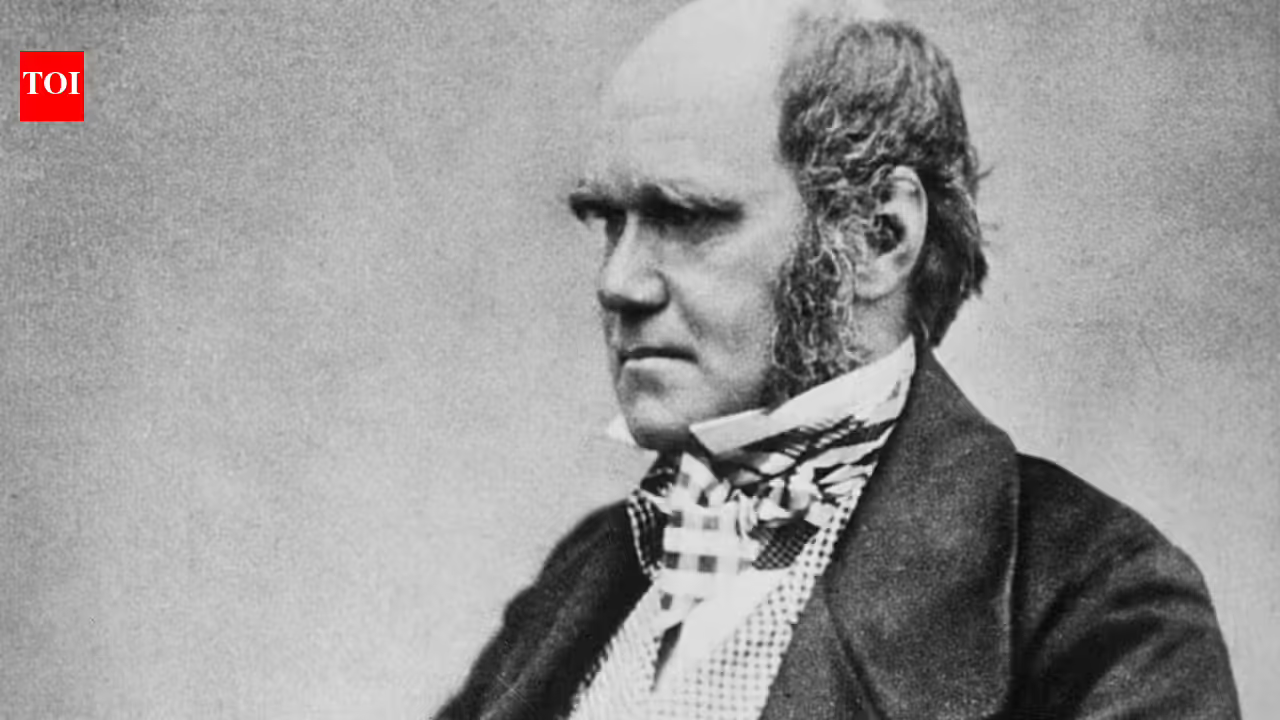 Quote of the day by Charles Darwin: “An American monkey, after getting drunk on brandy, would never touch…” – a witty observation on why humans often repeat the mistakes they already know can harm them | Quote of the day by Charles Darwin: “An American monkey, after getting drunk on brandy, would never touch…” – a witty observation on why humans often repeat the mistakes they already know can harm them |