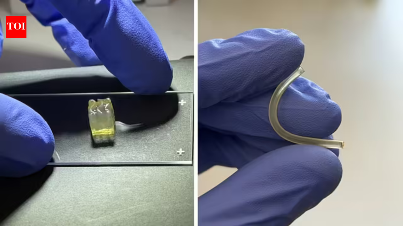 Scientists create liver and kidney tissues in space for the first time in a microgravity environment: Expected to change the future of biological manufacturing | Scientists create liver and kidney tissues in space for the first time in a microgravity environment: Expected to change the future of biological manufacturing |