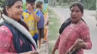 King Cobra Rescue: Bihar: ‘Snake lady’ rescues 10-foot king cobra from home; villagers left stunned | King Cobra Rescue: Bihar: ‘Snake lady’ rescues 10-foot king cobra from home; villagers left stunned |