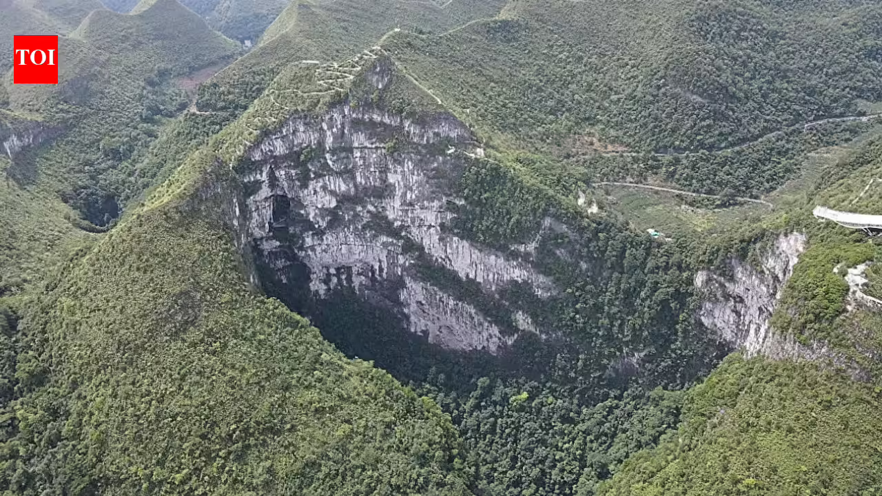 China’s giant sinkholes are protecting an endangered magnolia tree, but they may also be trapping its future China’s giant sinkholes are protecting an endangered magnolia tree, but they may also be trapping its future