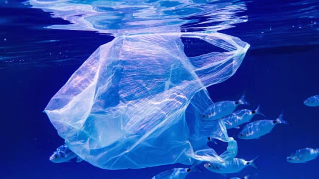 Microplastics have reached one of Earth’s most isolated ecosystems: Indian Ocean animals carried up to 14.7 times more particles than Pacific specimens Microplastics have reached one of Earth’s most isolated ecosystems: Indian Ocean animals carried up to 14.7 times more particles than Pacific specimens