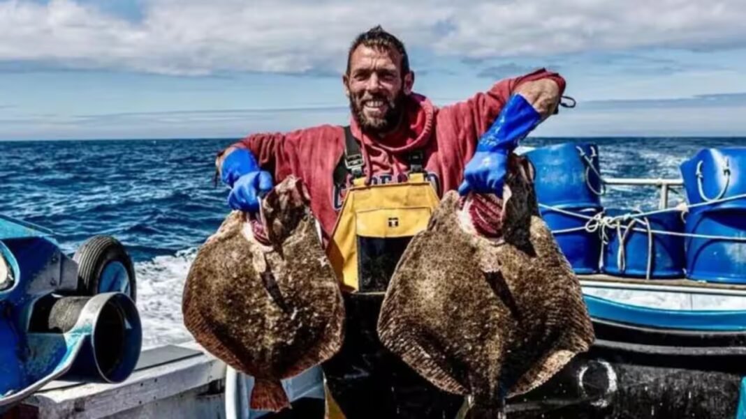 Warming seas are bringing octopus, red mullet and bream into UK waters, forcing fishers to rethink catches and chefs to learn Mediterranean species Warming seas are bringing octopus, red mullet and bream into UK waters, forcing fishers to rethink catches and chefs to learn Mediterranean species