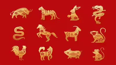 Chinese Horoscope Today, July 20, 2026: Healing Vibes and Deep Connections Await These Lucky Zodiac Signs Chinese Horoscope Today, July 20, 2026: Healing Vibes and Deep Connections Await These Lucky Zodiac Signs