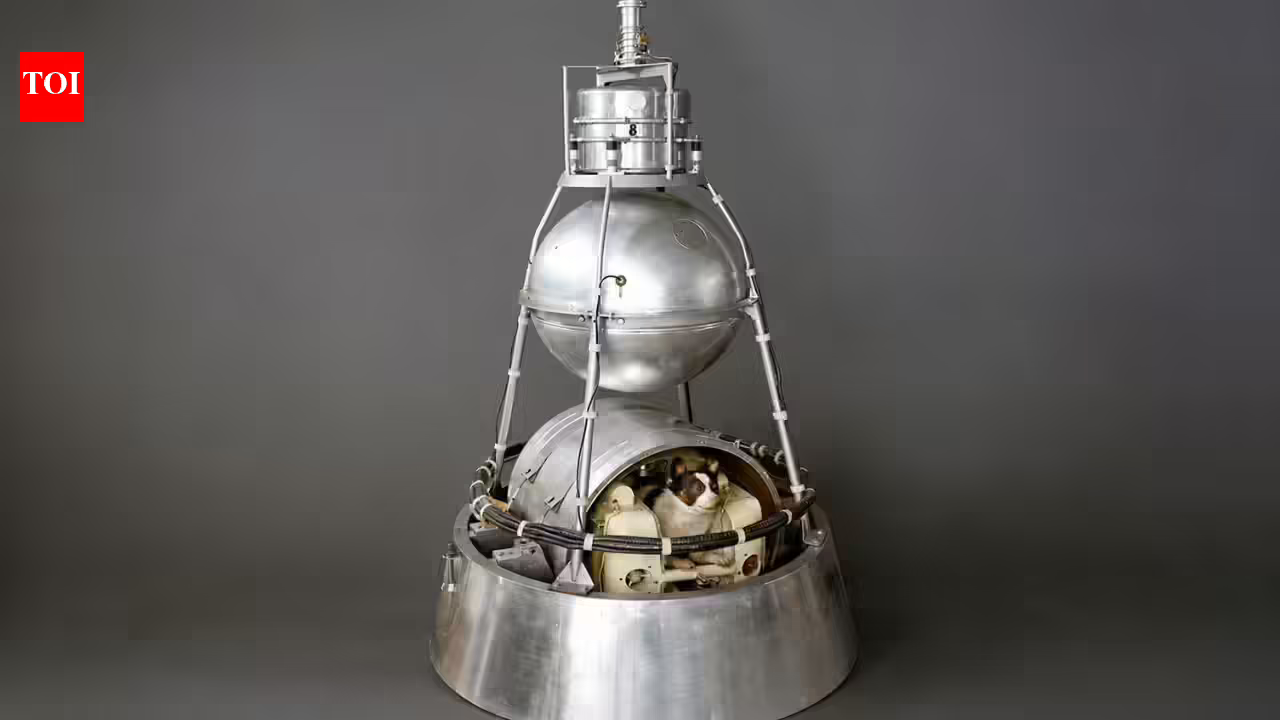 Meet Laika: The Moscow stray dog who became the first animal to orbit Earth in 1957, but was never meant to come home | Meet Laika: The Moscow stray dog who became the first animal to orbit Earth in 1957, but was never meant to come home |