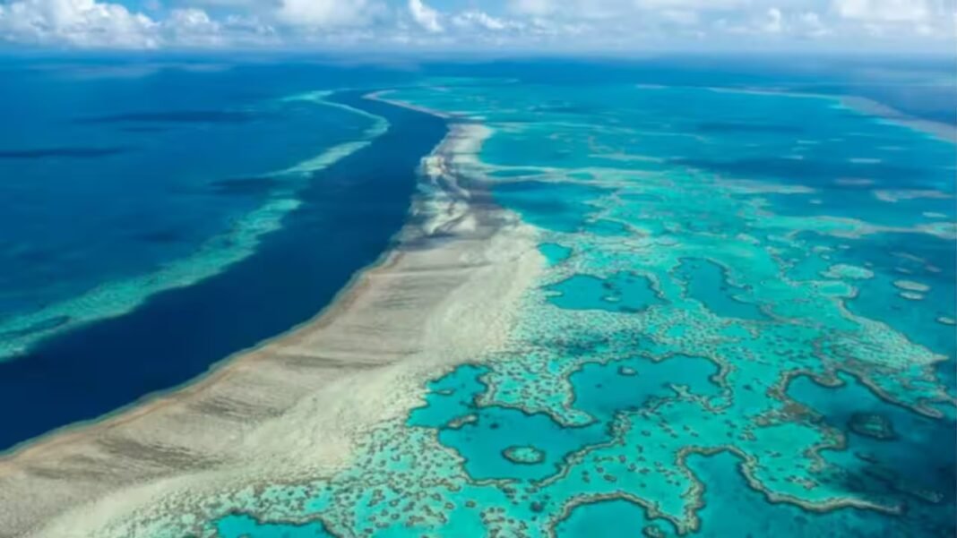 Great Barrier Reef: Scientists mapped the invisible microbiome of the Great Barrier Reef and found more than 500 new bacterial species and over 300,000 viruses in its waters Great Barrier Reef: Scientists mapped the invisible microbiome of the Great Barrier Reef and found more than 500 new bacterial species and over 300,000 viruses in its waters