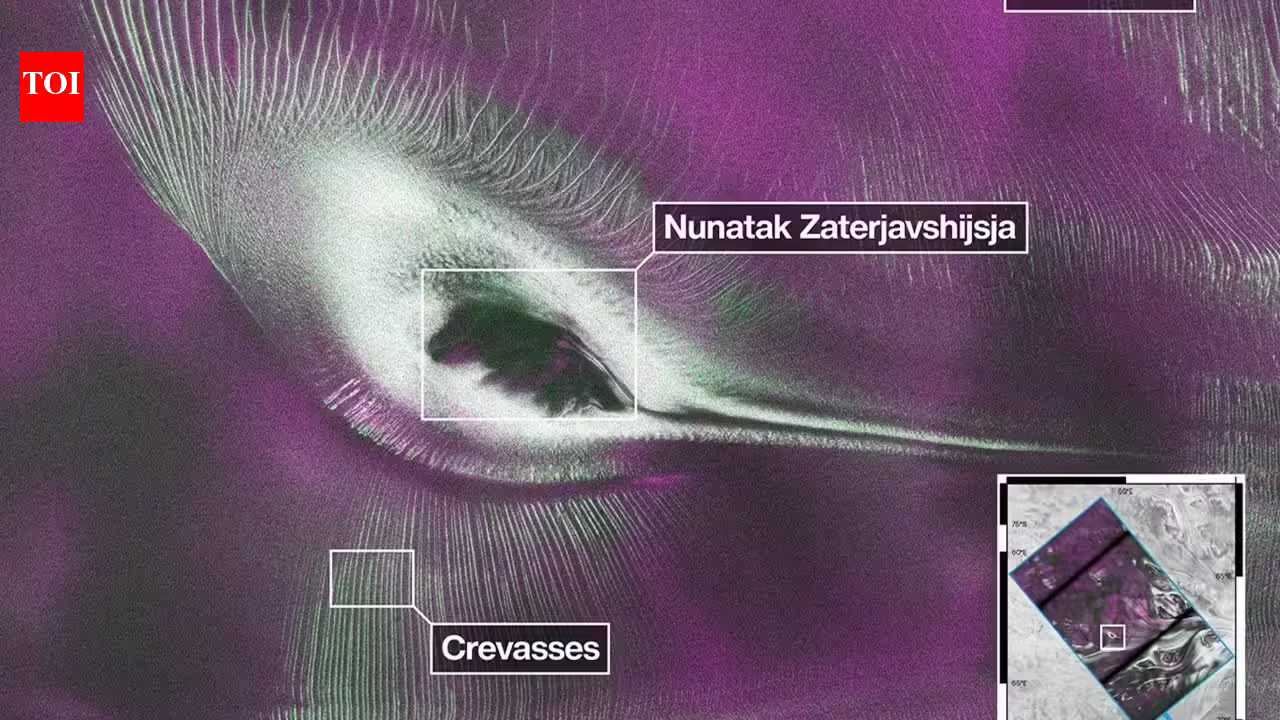 Nasa’s NISAR satellite captures a striking ‘hummingbird’ pattern hidden in Antarctica’s ice | Nasa’s NISAR satellite captures a striking ‘hummingbird’ pattern hidden in Antarctica’s ice |