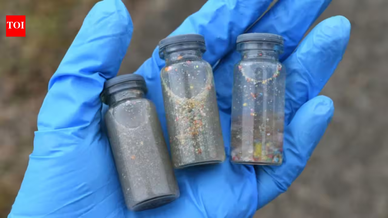 Scientists built a reusable magnetic material that removed more than 95% of microplastics and nanoplastics from water within one hour and showed early promise in removing some PFAS Scientists built a reusable magnetic material that removed more than 95% of microplastics and nanoplastics from water within one hour and showed early promise in removing some PFAS