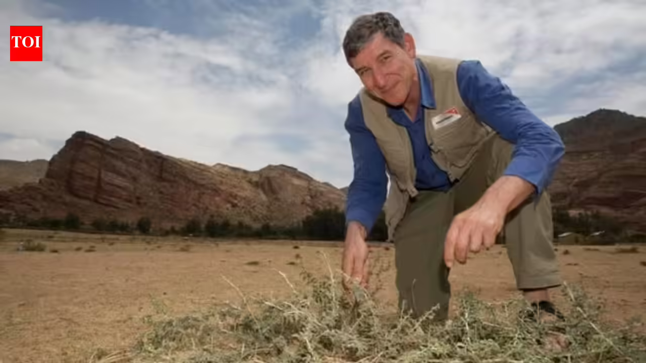 An Australian “forest maker” helped farmers in Niger regrow more than 200 million trees by pruning living stumps, roots and seeds hidden beneath dry land An Australian “forest maker” helped farmers in Niger regrow more than 200 million trees by pruning living stumps, roots and seeds hidden beneath dry land