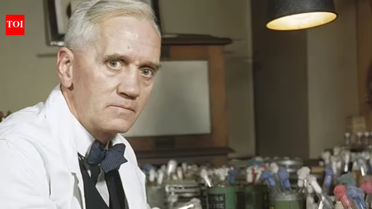Quote of the day by Alexander Fleming: “You do not know what you will find, you may set out to find one thing and…” – why life’s biggest discoveries are often unexpected | Quote of the day by Alexander Fleming: “You do not know what you will find, you may set out to find one thing and…” – why life’s biggest discoveries are often unexpected |