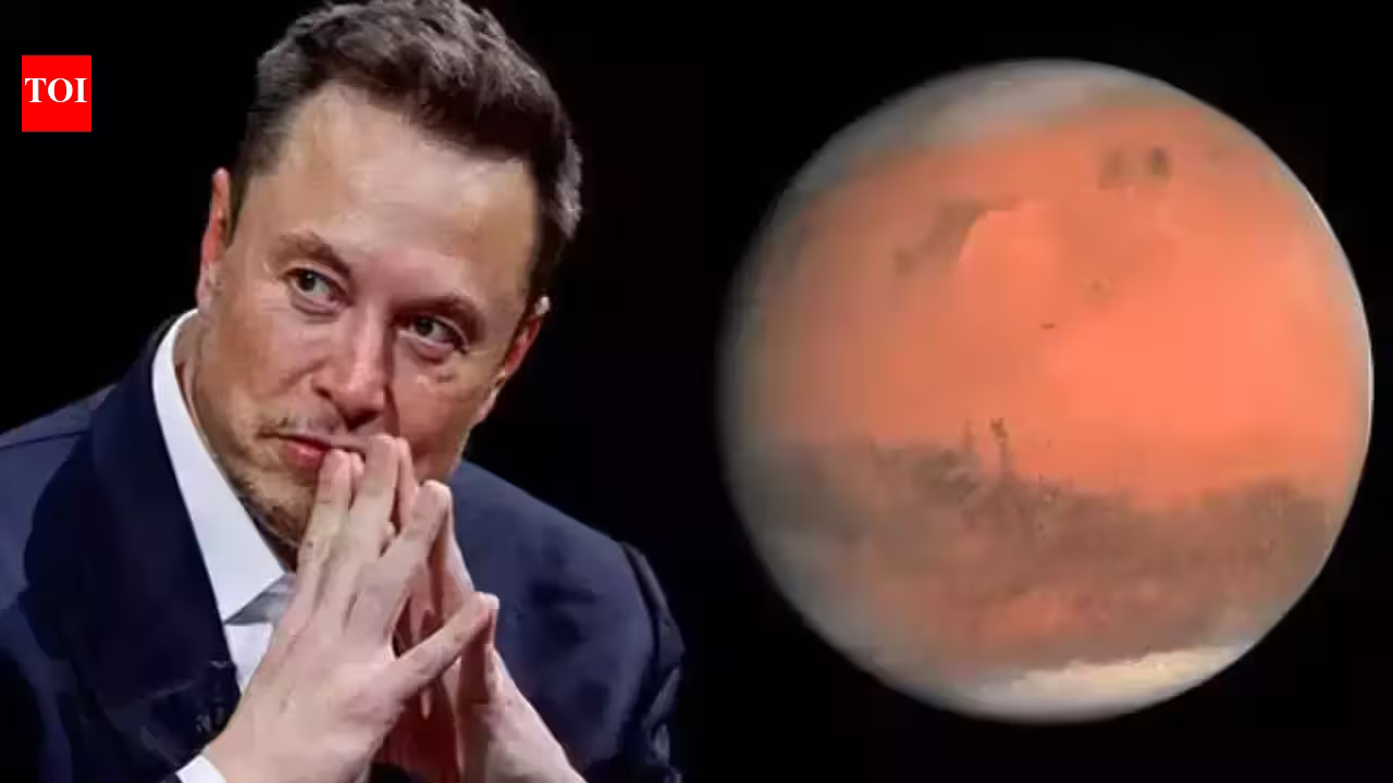 Elon Musk says a future on Mars could help humanity survive pandemics, AI and global disasters | Elon Musk says a future on Mars could help humanity survive pandemics, AI and global disasters |