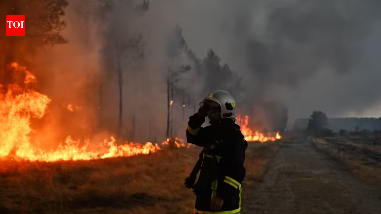 Canada’s 2023 wildfires burned 15.1 million hectares and released 554 million tonnes of carbon; scientists found most came from soil and peat beneath the trees Canada’s 2023 wildfires burned 15.1 million hectares and released 554 million tonnes of carbon; scientists found most came from soil and peat beneath the trees
