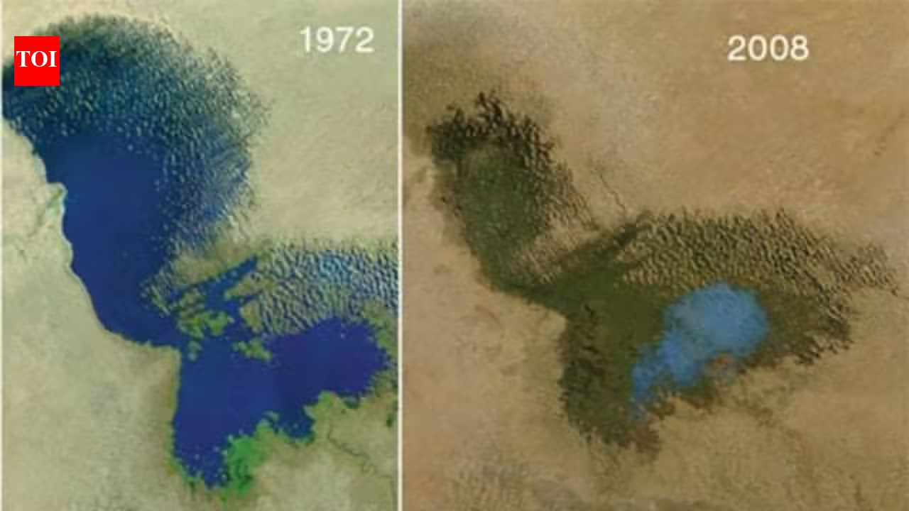 Africa’s Lake Chad has shrunk by 90% since 1960, now the government is paying $50 billion to redirect water from the Congo River Basin into the lake Africa’s Lake Chad has shrunk by 90% since 1960, now the government is paying $50 billion to redirect water from the Congo River Basin into the lake