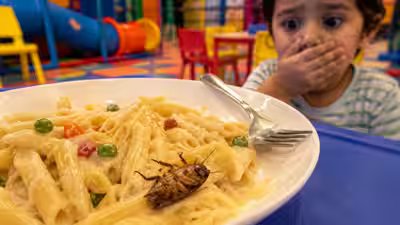 Mumbai Food Safety Incident: Cockroach in child’s pasta at Mumbai play zone: Why it is important to teach kids about food safety at an early age Mumbai Food Safety Incident: Cockroach in child’s pasta at Mumbai play zone: Why it is important to teach kids about food safety at an early age