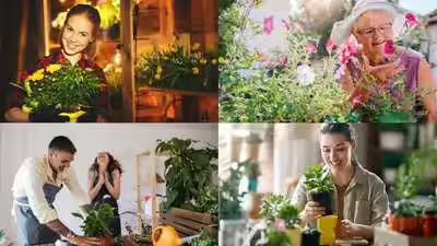 Houseplants: Psychology says people who buy more plants are happier; the real reason has nothing to do with gardening Houseplants: Psychology says people who buy more plants are happier; the real reason has nothing to do with gardening