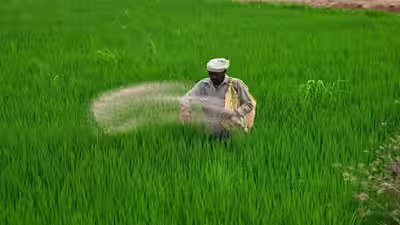 India’s fertiliser game plan: Over 32 lakh tonnes imported in Q1; strengthened supply chain through overseas deals India’s fertiliser game plan: Over 32 lakh tonnes imported in Q1; strengthened supply chain through overseas deals