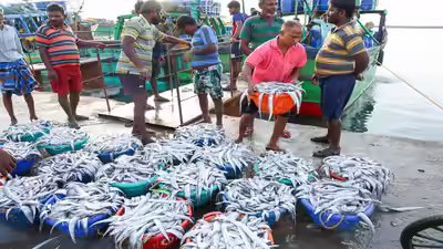 $1bn SEZs in the works to boost seafood exports $1bn SEZs in the works to boost seafood exports