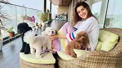 Inside Kriti Sanon’s duplex sea-facing penthouse worth Rs 78 crore, which has a clubhouse, yoga desk, swimming pool and more | Hindi Movie News Inside Kriti Sanon’s duplex sea-facing penthouse worth Rs 78 crore, which has a clubhouse, yoga desk, swimming pool and more | Hindi Movie News