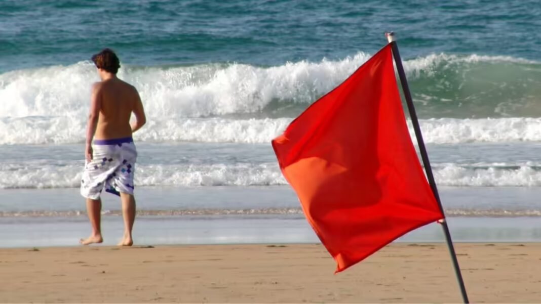 Beach Flag Rules: What do red, yellow, purple, green, and double flags mean at the beach? Why every traveller should be aware of these beach rules | Beach Flag Rules: What do red, yellow, purple, green, and double flags mean at the beach? Why every traveller should be aware of these beach rules |
