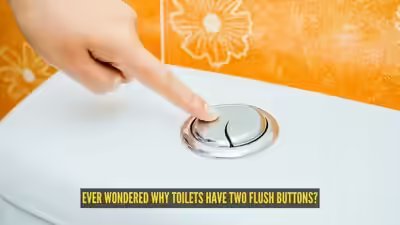 Toilet Flush Buttons: Ever wondered why toilets have two flush buttons? Here’s what each one actually does Toilet Flush Buttons: Ever wondered why toilets have two flush buttons? Here’s what each one actually does