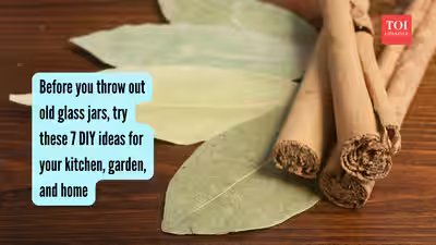 Bay leaves, cinnamon, and cloves: DIY organic room freshener you can make with 3 ingredients found in every Indian kitchen | Bay leaves, cinnamon, and cloves: DIY organic room freshener you can make with 3 ingredients found in every Indian kitchen |