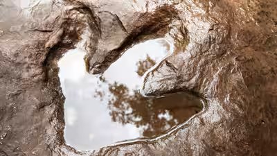 200 Million-Year-Old Dinosaur Footprints: Photographer accidentally discovers thousands of 200 million-year-old dinosaur footprints hidden in plain sight on a mountain that turned from an ancient sea 200 Million-Year-Old Dinosaur Footprints: Photographer accidentally discovers thousands of 200 million-year-old dinosaur footprints hidden in plain sight on a mountain that turned from an ancient sea