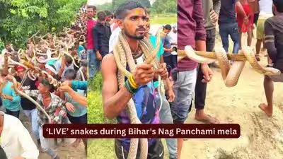 Bihar Snake Festival: Hundreds carry ‘LIVE’ snakes during Bihar’s Nag Panchami mela; the fascinating history behind Samastipur’s centuries-old serpent festival Bihar Snake Festival: Hundreds carry ‘LIVE’ snakes during Bihar’s Nag Panchami mela; the fascinating history behind Samastipur’s centuries-old serpent festival