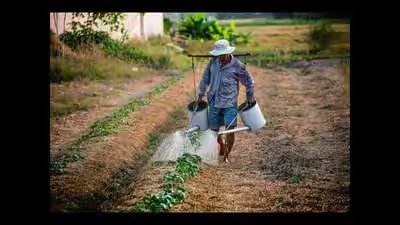UPSC topic: India’s agricultural calendar divided by kharif, rabi and zaid seasons UPSC topic: India’s agricultural calendar divided by kharif, rabi and zaid seasons