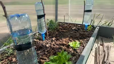 Upcycle Plastic Bottles: Do not throw away plastic bottles; turn them into useful household tools using these simple steps Upcycle Plastic Bottles: Do not throw away plastic bottles; turn them into useful household tools using these simple steps