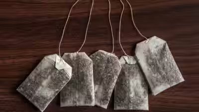 Reuse Tea Bags: Don’t throw away used tea bags: 7 smart ways to reuse them at home Reuse Tea Bags: Don’t throw away used tea bags: 7 smart ways to reuse them at home