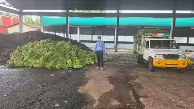 Artificially Ripened Bananas: 10,890 kg of chemically ripened bananas seized in Karnataka: 4 signs your banana may have been artificially ripened Artificially Ripened Bananas: 10,890 kg of chemically ripened bananas seized in Karnataka: 4 signs your banana may have been artificially ripened