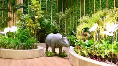 Why Guwahati airport has 1 lakh plants, the idea that turned it into a ‘living forest’ Why Guwahati airport has 1 lakh plants, the idea that turned it into a ‘living forest’