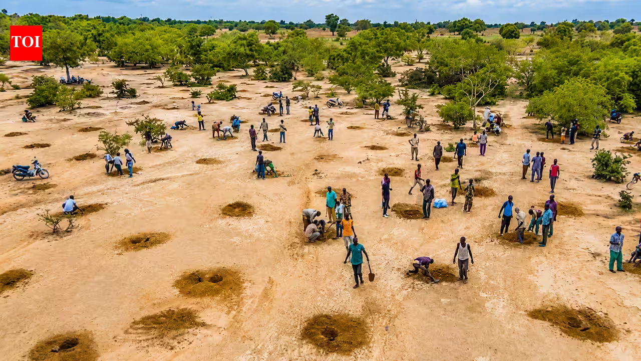After decades of drought, water is returning to the south of the Sahara Desert as ancient farming techniques and the Great Green Wall breathe new life into the Sahel | After decades of drought, water is returning to the south of the Sahara Desert as ancient farming techniques and the Great Green Wall breathe new life into the Sahel |