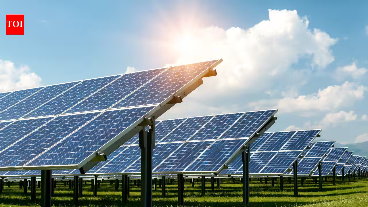 A Massachusetts farmer has put 832 tracking solar panels over his crops. The land now grows food, electricity and extra farm income all at once A Massachusetts farmer has put 832 tracking solar panels over his crops. The land now grows food, electricity and extra farm income all at once