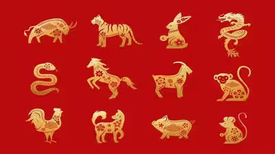 Horoscope Today, August 1, 2026: These Chinese Zodiac Animals Should Stay Alert, These May Get Lucky Horoscope Today, August 1, 2026: These Chinese Zodiac Animals Should Stay Alert, These May Get Lucky