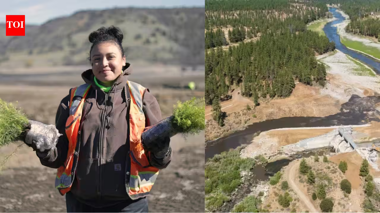 After America’s largest dam removal, the Yurok Tribe is bringing an entire river back to life by planting millions of native seeds | After America’s largest dam removal, the Yurok Tribe is bringing an entire river back to life by planting millions of native seeds |