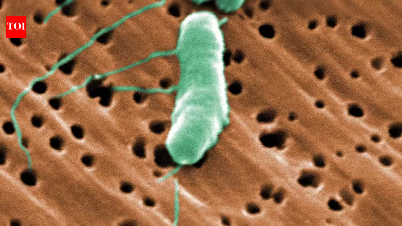 Florida’s first flesh-eating bacteria death of 2026 raises concerns during beach season as warm waters fuel infections | Florida’s first flesh-eating bacteria death of 2026 raises concerns during beach season as warm waters fuel infections |